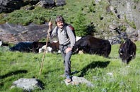 La salita ai pascoli degli yak di Reinhold Messner a Solda